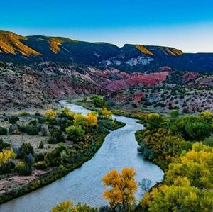 Meet your Posher, Billy